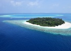 Malahini Kuda Bandos