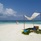 Coco Bodu Hithi