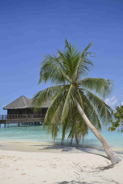 Bandos Maldives Вид На Ресторан