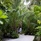 Baglioni Resort Maldives