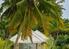 Kandima Maldives