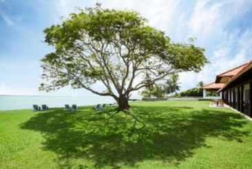Jetwing Lagoon