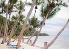 Coco De Mer Hotel And Black Parrot Suites