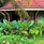 Bliss Hotel Praslin