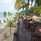 Flamingo Hotel By The Beach, Penang