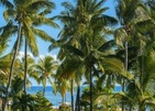 Sofitel Mauritius L'Imperial Resort & Spa