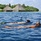 Gangehi Island Resort