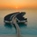 Raaya By Atmosphere