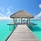 Niva Kuramathi Maldives