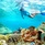 Alphonse Island Resort