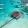 V Villas Maldives At Mirihi