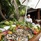 Centara Ras Fushi Resort & Spa Maldives