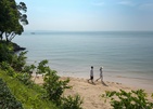 The Shellsea Krabi