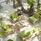 Royal Island Resort & Spa