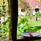 Bliss Hotel Praslin