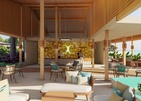 Joy Island By The Cocoon Collection