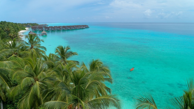 Niva Kuramathi Maldives