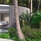 The Ritz-Carlton Maldives Fari Islands