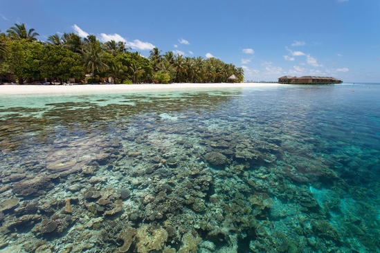 Vilamendhoo Maldives Resort Island