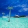 Anantara Dhigu Maldives