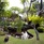 Sol By Melia Benoa Bali All Inclusive