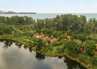 Banyan Tree Phuket