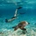 The Ritz-Carlton Maldives Fari Islands