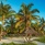 Baraza Resort & Spa 