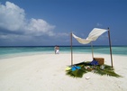 Coco Bodu Hithi