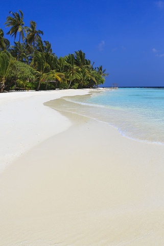 Niva Kurumba Maldives