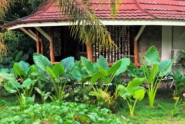 Bliss Hotel Praslin