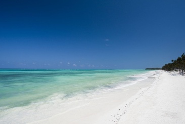 Karafuu Beach Resort & Spa