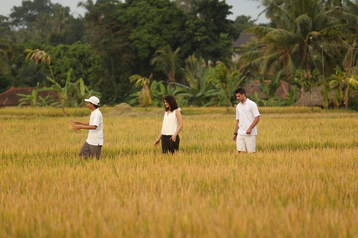 Alaya Resort Ubud