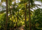 Fiyavalhu Maldives