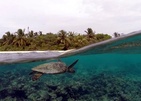 Eri Maldives (Ex. Eriyadu Island Resort)