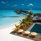 Dhigufaru Island Resort