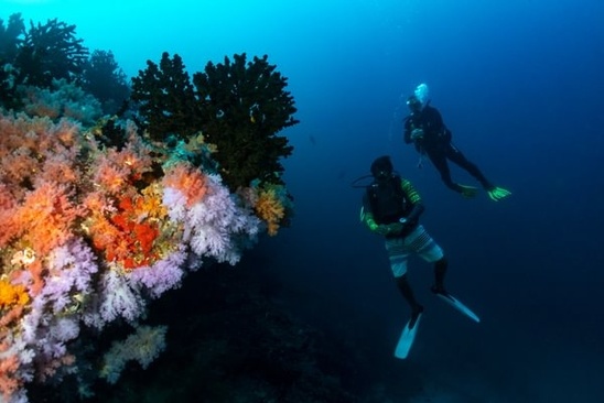Eri Maldives (Ex. Eriyadu Island Resort)