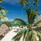 Zanzibar Magic Boutique Hotel