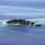 Gangehi Island Resort