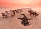 Dhigufaru Island Resort