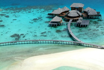 Coco Bodu Hithi