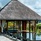 C Mauritius