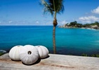 Carana Beach Hotel