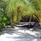 Gangehi Island Resort
