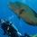 Four Seasons Resort Maldives At Landaa Giraavaru