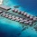 Coco Bodu Hithi