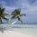 Vilamendhoo Maldives Resort Island