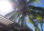 Silver Beach Hotel