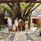 Machchafushi Island Resort & Spa Maldives, The Centara Collection (Ex.Centara Grand)