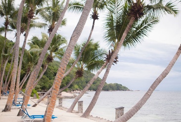 Coco De Mer Hotel And Black Parrot Suites